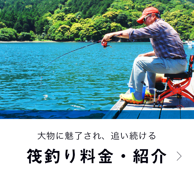 まるよし渡船三重県 南伊勢町 筏釣り チヌ釣り アオリイカ釣り船釣り ティップラン タイラバ ジギング イカメタル