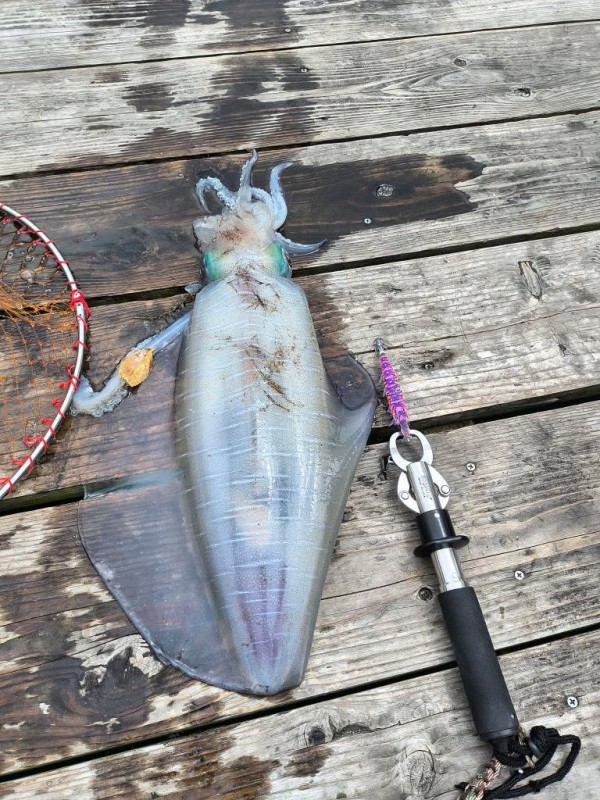 釣果写真
