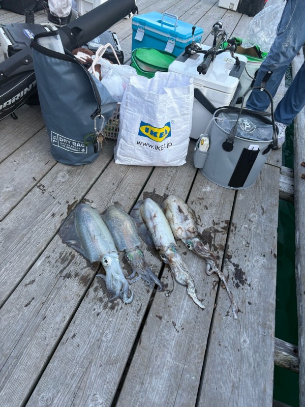 釣果写真